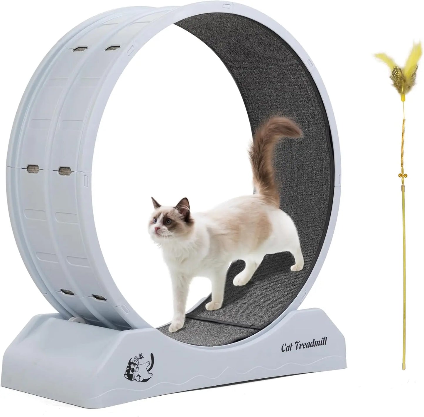 Cat Exercise Wheel Treadmill with Locking Mechanism Carpeted Runway Large Wheel for All Breeds - Sales Savvy Shop