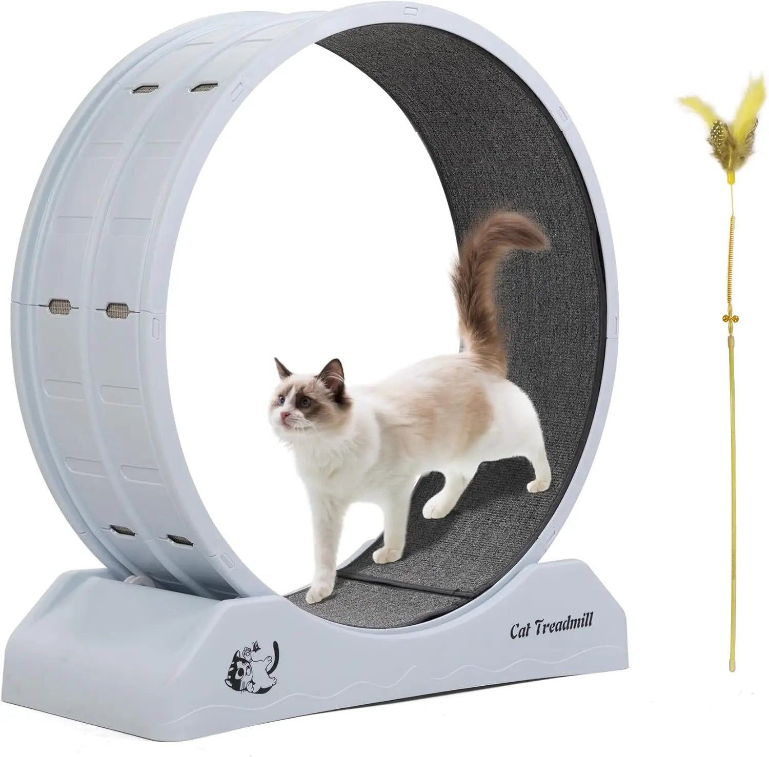 Cat Exercise Wheel Treadmill with Locking Mechanism Carpeted Runway Large Wheel for All Breeds - Sales Savvy Shop