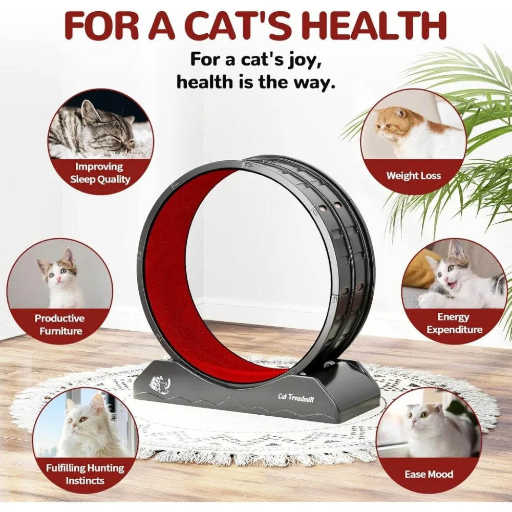 Cat Exercise Wheel Treadmill with Locking Mechanism Carpeted Runway Large Wheel for All Breeds - Sales Savvy Shop