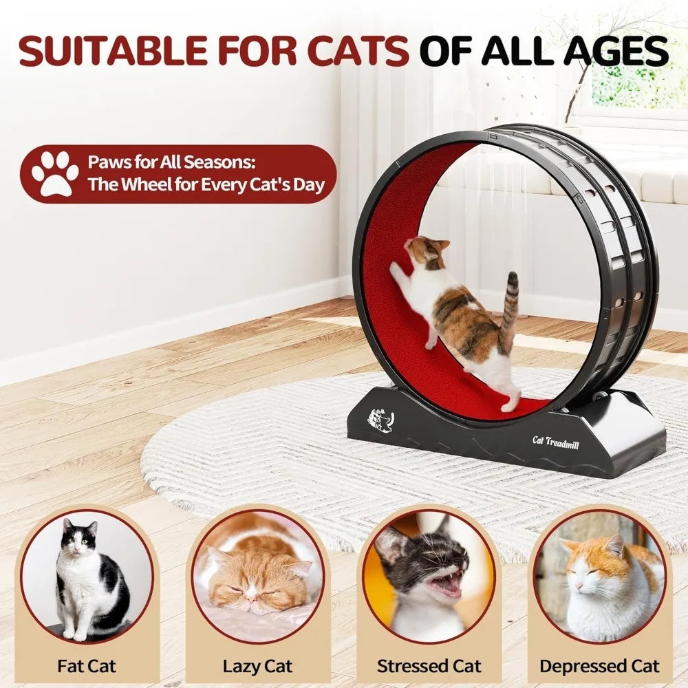 Cat Exercise Wheel Treadmill with Locking Mechanism Carpeted Runway Large Wheel for All Breeds - Sales Savvy Shop